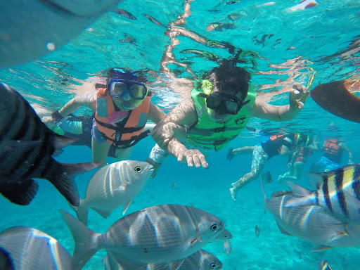 Photo from customer review